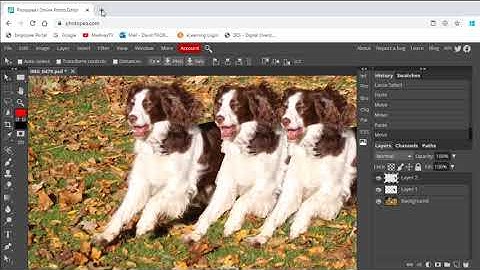 Photopea Tutorial Part1: Introduction