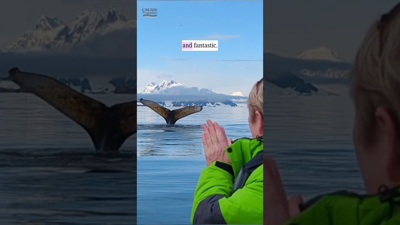 Humpback whale spotting in Antarctica with Atlas Ocean Voyages - book with Cruise Traveller