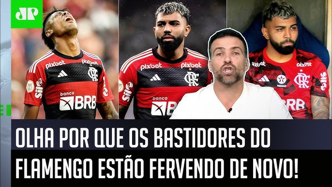 Flamengo venceu todos os jogos contra o Botafogo no Nilton Santos desd