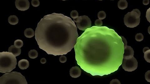 How to Detect and Isolate Normal and Cancer Stem Cells Based on ALDH Activity with ALDEFLUOR™