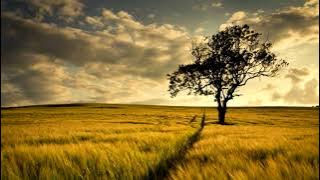 Audrey - Why (Original Extended Mix) [segment]