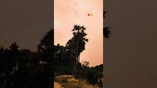 Kudrat ka ek khoobsurat nazaara. Kuch pal sukoon ke🌾🌅#naturelovers #sunsetvibes #nature #naturehills