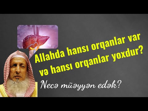 Video: Hansının tanrısı var?