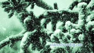Winter Motion Loop Evergreen And Falling Snow