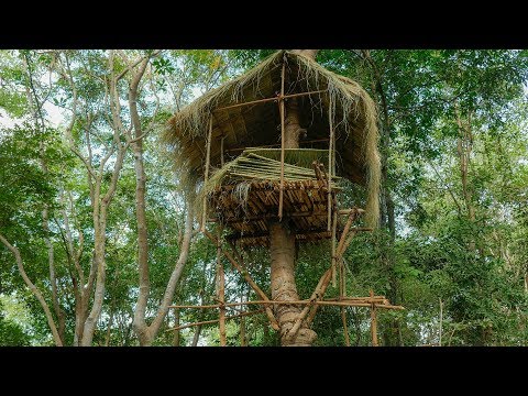 Video: Helix Bukan Rumah Pokok Khas Anda Di Hutan