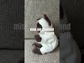 Let S Hit 500 Subs Funny Miso Let S Hit 500 Subs Funny Miso