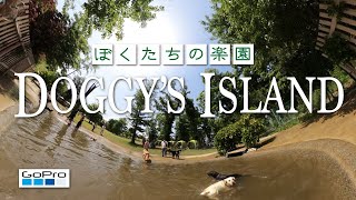 【ドギーズアイランド】ラブラドールレトリバーと行く関東最大級のドッグラン ドギーズアイランド Dog Vlog