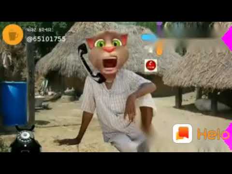 Komodi