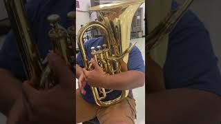 Introduction to Baritone
