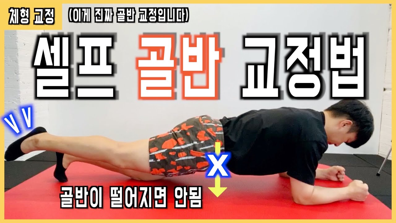 골반 교정, 스트레칭 그만하시고 운동으로 셀프교정하세요!