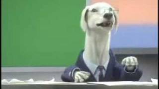 Watch Rubberbandits Greyhound Shuffle video