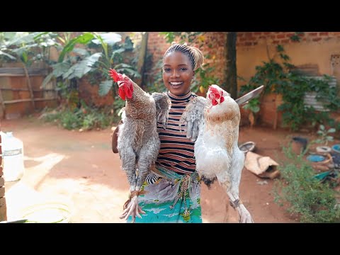 Slaughtering A Chicken For Christmas/ African Village Life