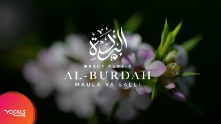 Maula Ya Salli | Mesut Kurtis | [Vocals Only Version]