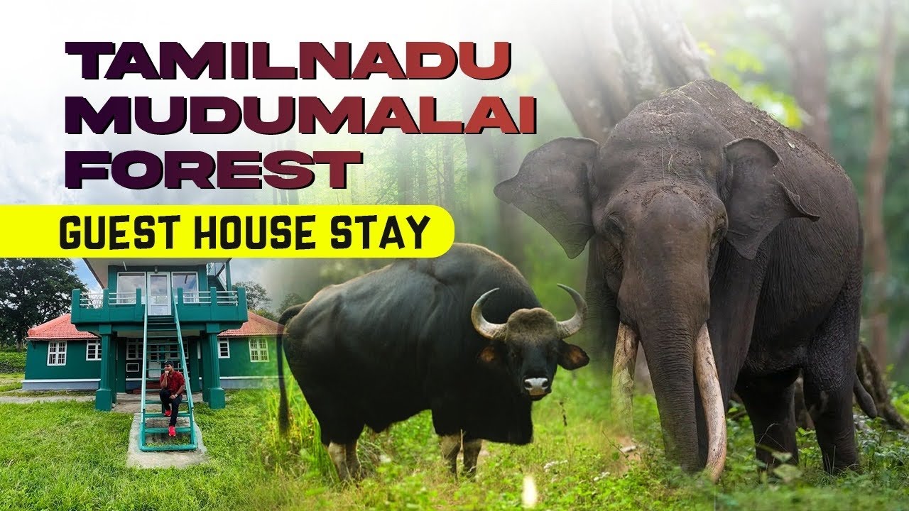 Abhayaranyam Forest Guest House | Tamilnadu Mudumalai Tiger reserve Guest house |