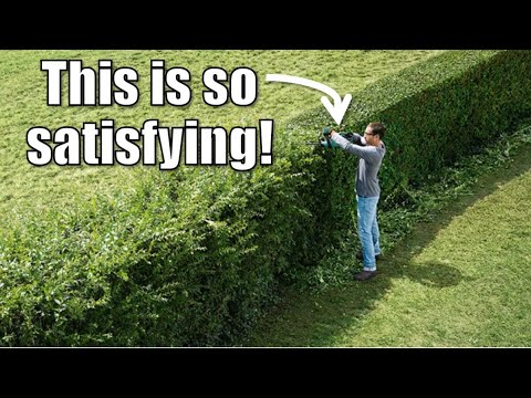 Top 5 ASMR Hedge Trimming Techniques - YouTube