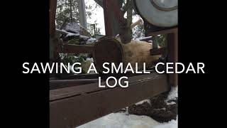 Sawmill cedar log on homemade sawmill