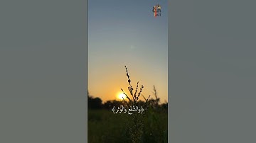 والفجر.. #quran #قرآن #الامارات #العراق #صباح_الخير #السعودية #مصر #ارح_قلبك #تلاوات #القرآن_الكريم