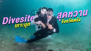 Dive site ที่หวานที่สุดในประเทศ กับงานแต่งใต้น้ำ