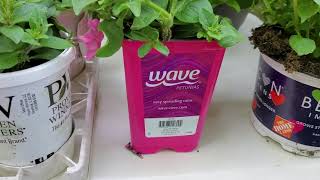A plant Haul from Lowes, Home Depot and Food Lion May 9 , 2021❤❤❤