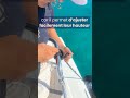 apprendre la voile : le noeud de cabestan #apprendrelavoile