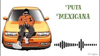 best BGM ringtone/instagram viral ringtone [] puta Mexicana ringtone ⤵️