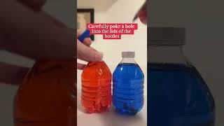 The Ocean Currents Experiment! 🌊#Science #STEM #ScienceExperiments #OceanCurrents #Density #Shorts