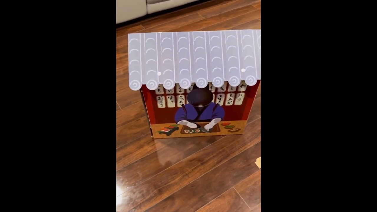 Cat squeezes into small hole and gets stuck in box ohuse in Florida, USA