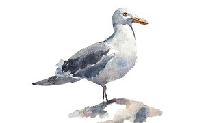 Step-by-step tutorial: Painting a beautiful seagull in watercolor