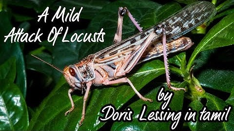 A Mild attack Of Locusts in tamil /The World Of fantasy
