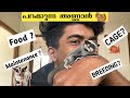 🐿SUGER GLIDER അറിയേണ്ടത് എല്ലാം🤩 | SUGER GLIDER MALAYALAM | KVM AQUATICS |