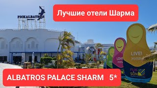 : . .    2022.  . Albatros Palace Sharm # #