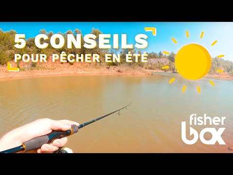 Vidéo: Conseils De Pêche D'été