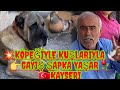 🆕️Taklaci güvercin oyun kuşu 👉 GAYIŞ ŞAPKA YAŞAR 🇹🇷