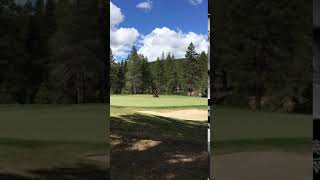 Gray's Crossing Golf course