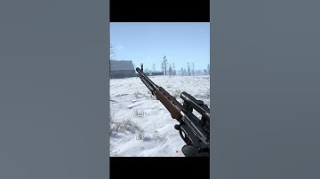 When the Devs make a beautiful reload animation