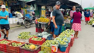 FARTURA DE ATA E MILHO VERDE EM IBIAPINA CEARÁ 17/05/26