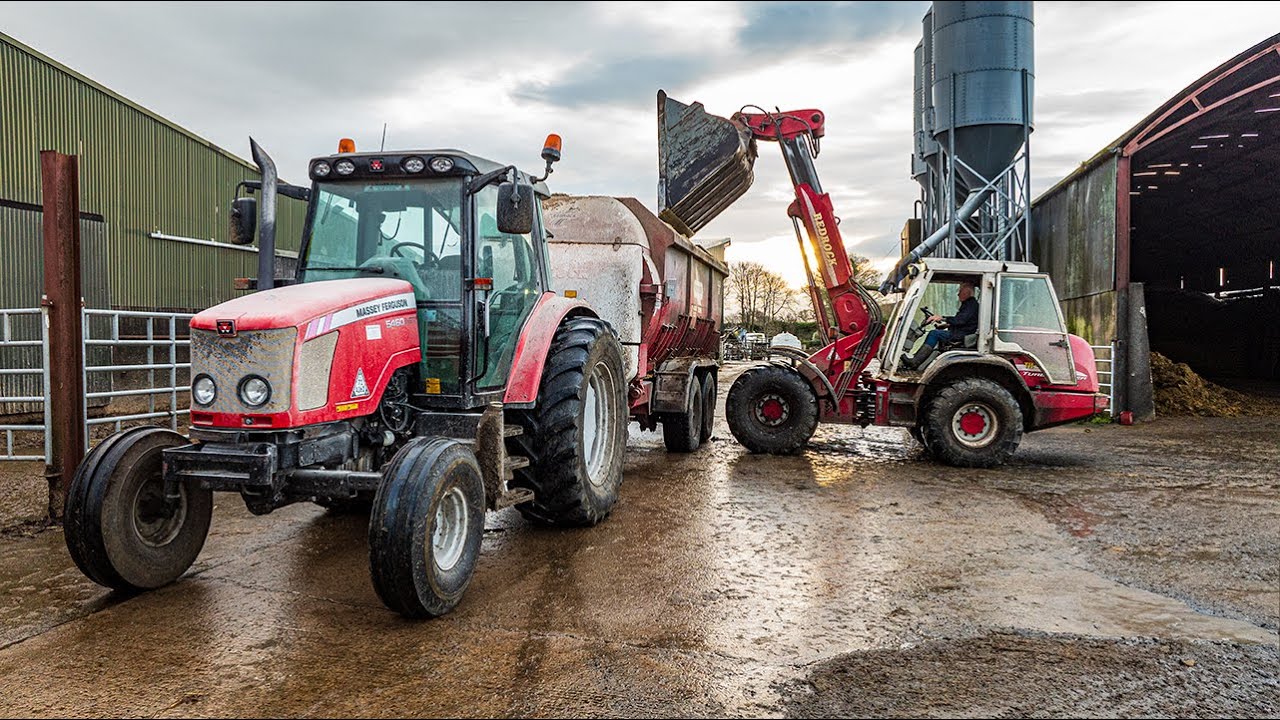 2wd MF 5460 bossing 20m3 Redrock Feeder | Dairy Cattle TMR Feeding
