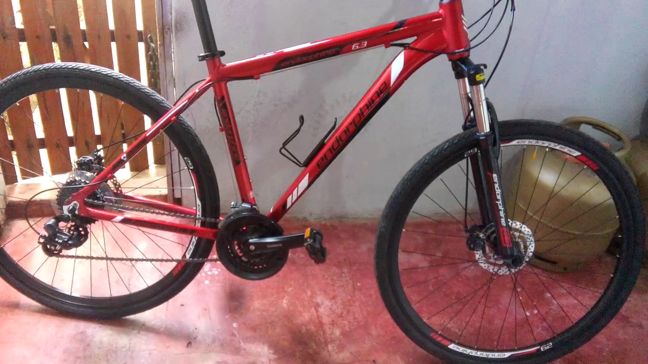 bicicleta endorphine 6.3