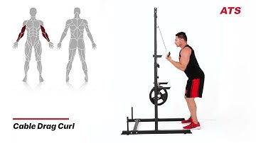 Cable Drag Curl - Sport Science Exercise Library