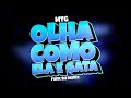 MTG OLHA COMO ELA É GATA - música do tiktok (FUNK BH REMIX) DJ Erick Beat &amp; @djigordoam