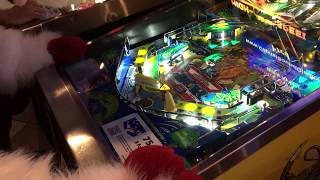 Beagle Plays Pinball for the First Time