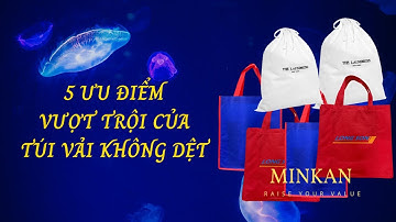 5 Ưu Điểm Vượt Trội Chỉ Có Ở Túi Vải Không Dệt I #Minkan #Tuivaiminkan