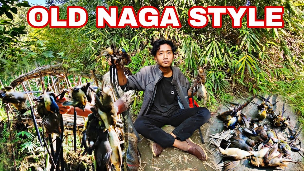 CATCHING BIRDS😱🤯 you must try this old naga style trapping birds 🙀😻