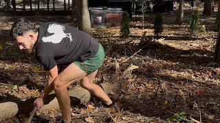 Composting 101 🌱♻️ Turn Cardboard & Chicken Manure Into Nutrient-Rich Garden Compost!