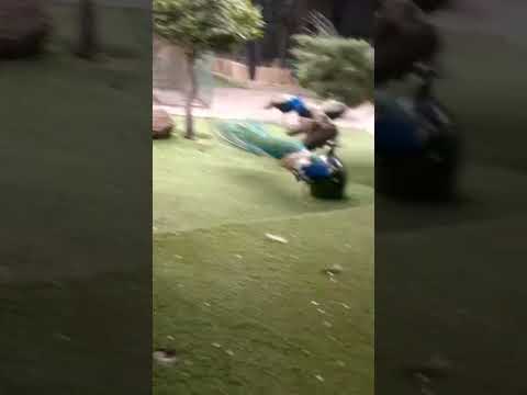 هرکه طاووس خواهد جور هندوستان کشد         