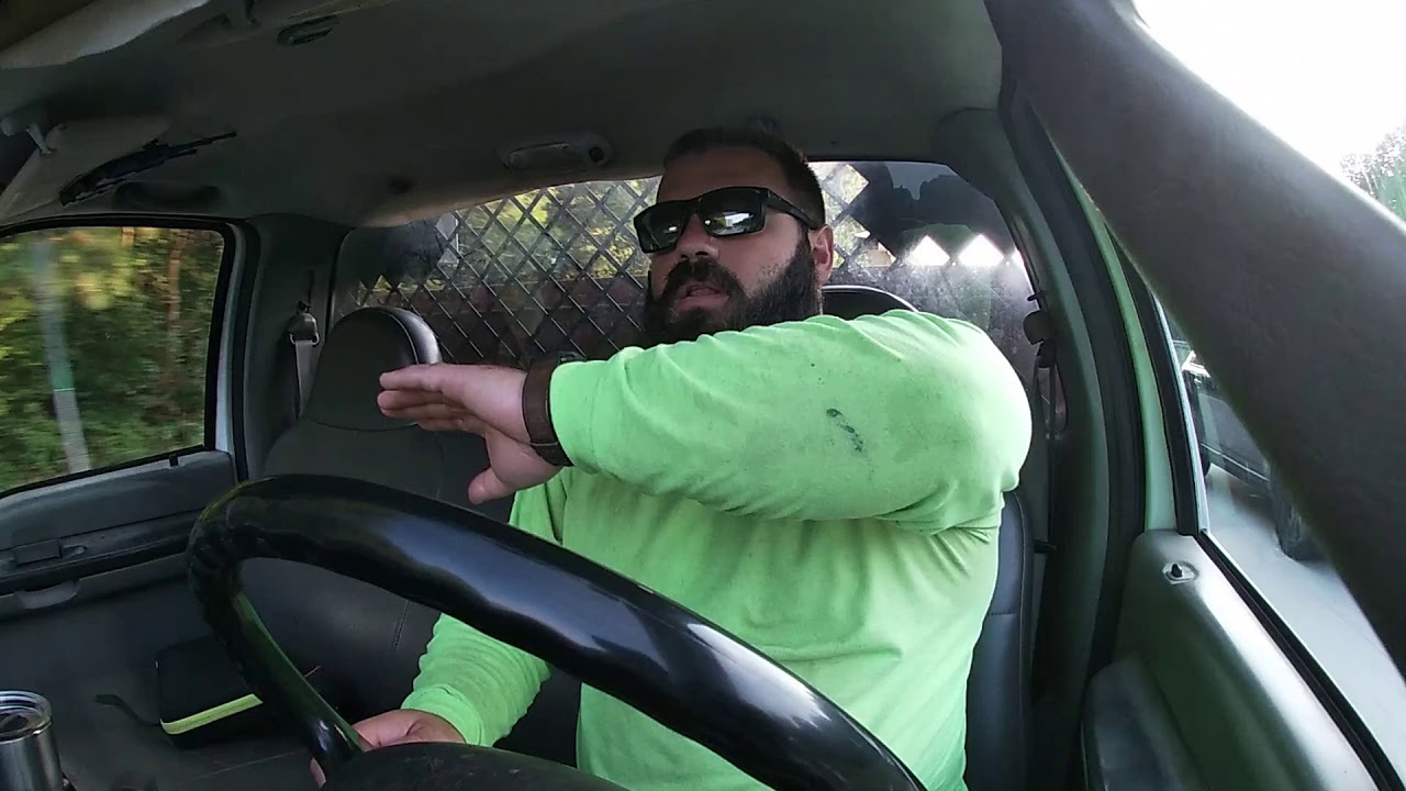 Leyland Cypress Canopy Elevation