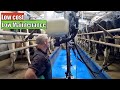 Building A Milking Parlour On A Budget || How €1,100 Saved Me Near €10,000