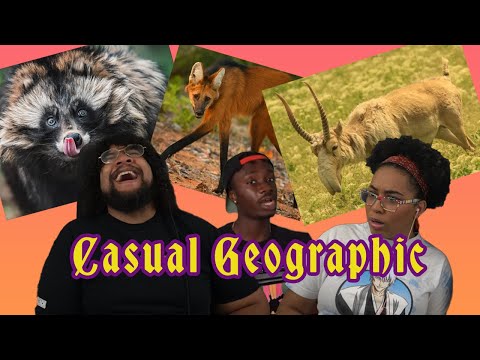 10 Animals You Definitely Forgot Existed | Casual Geographic Reaction ft. Chavezz