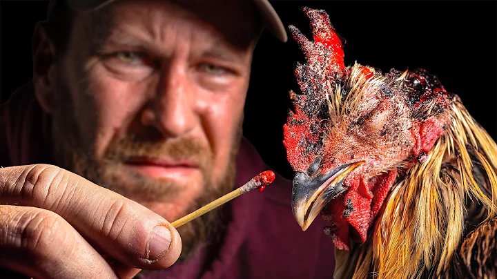 He Nearly DIED in a Rooster Attack - DayDayNews