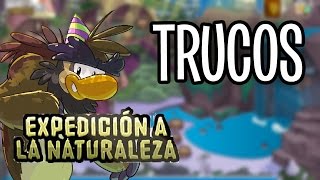 ¡Trucos de la Expedición a la Naturaleza! - Club Penguin 2016